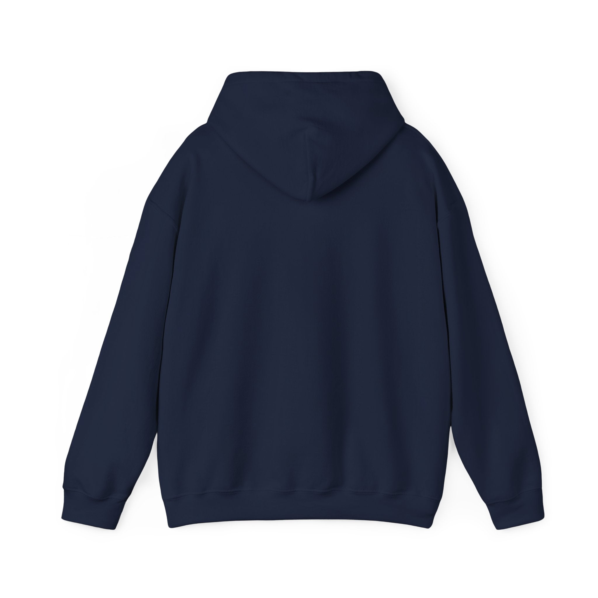 Working Online Means No School Hoodie — Funny Remote Work Student Sweatshirt